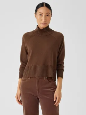 Merino Turtleneck Jersey