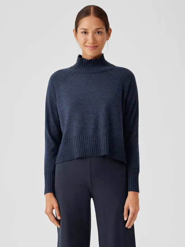 Merino Turtleneck Jersey