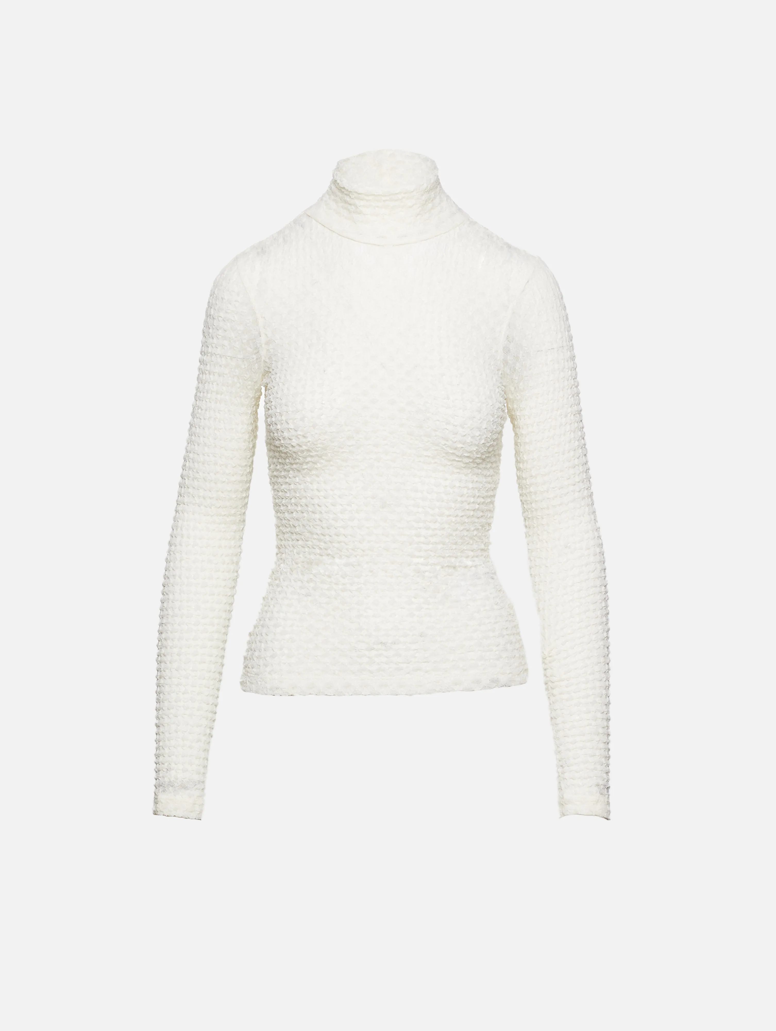 Mesh Lace Turtleneck Top